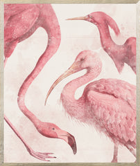 21 × 25 in – Glass Framed