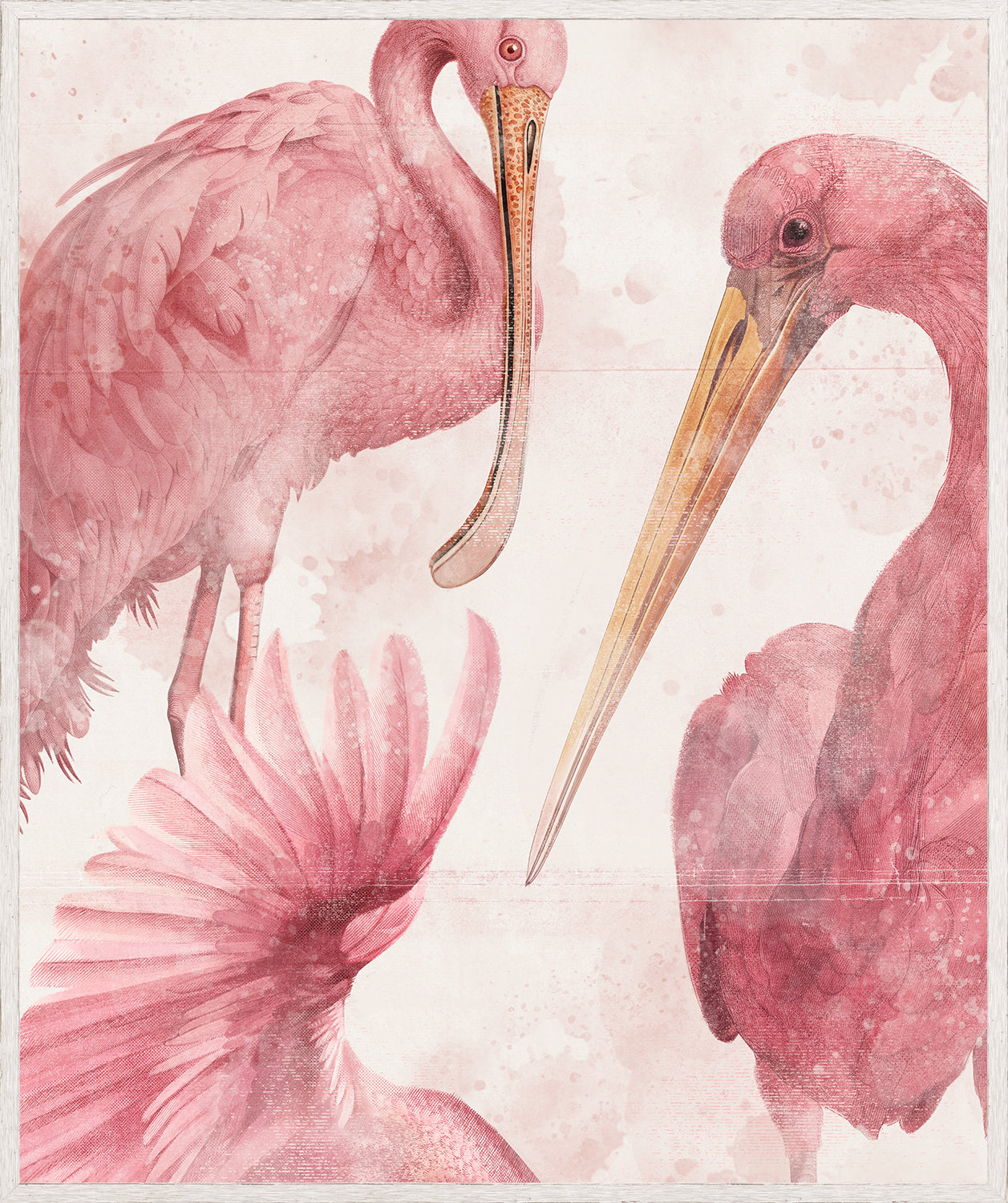 Roseate Aquatics II wall art featuring pink flamingos with detailed feathers and beaks on a soft background.