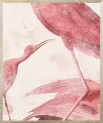 21 × 25 in – Glass Framed