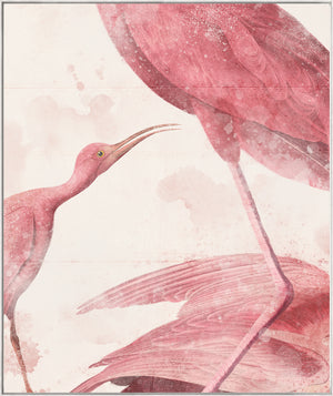 Roseate Aquatics III — nature and landscape fine art print shown from another angle