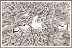 58.25 × 39.25 in