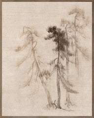 31 × 39 in