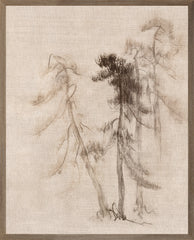 21 × 26 in