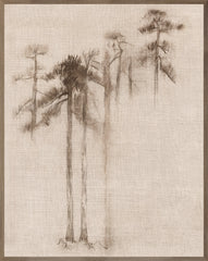 31 × 39 in