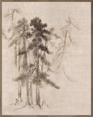 31 × 39 pulg.