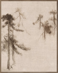31 × 39 in