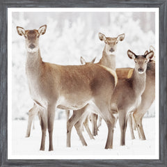 20 × 20 in – Grey Frame