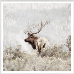37 × 37 in – White Frame