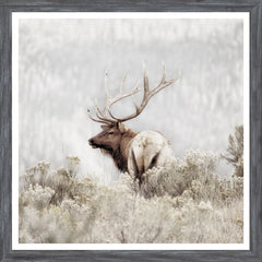 20 × 20 in – Grey Frame