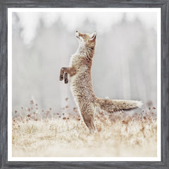 20 × 20 in – Grey Frame
