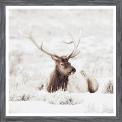 20 × 20 in – Grey Frame