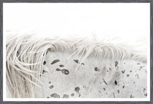 Petite Wildlife — Hedgehog & Appaloosa Pair Bundle