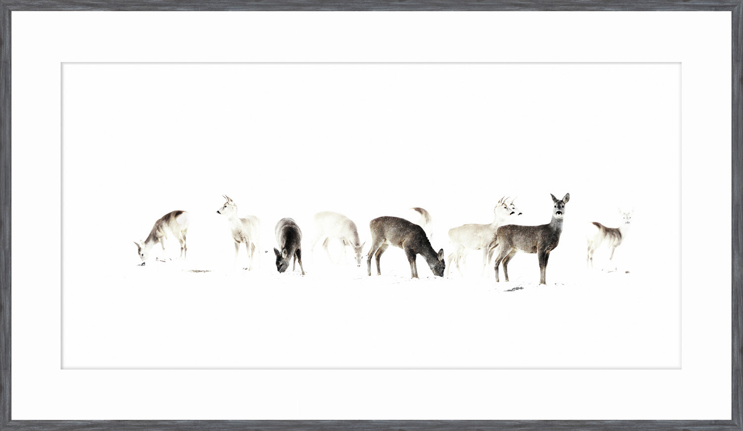 The Gathering — nature and landscape fine art print in neutral tones at Laurie Yapp Home