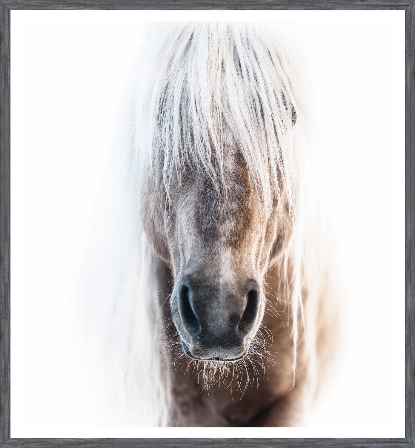 Palomino — nature and landscape fine art print shown from another angle