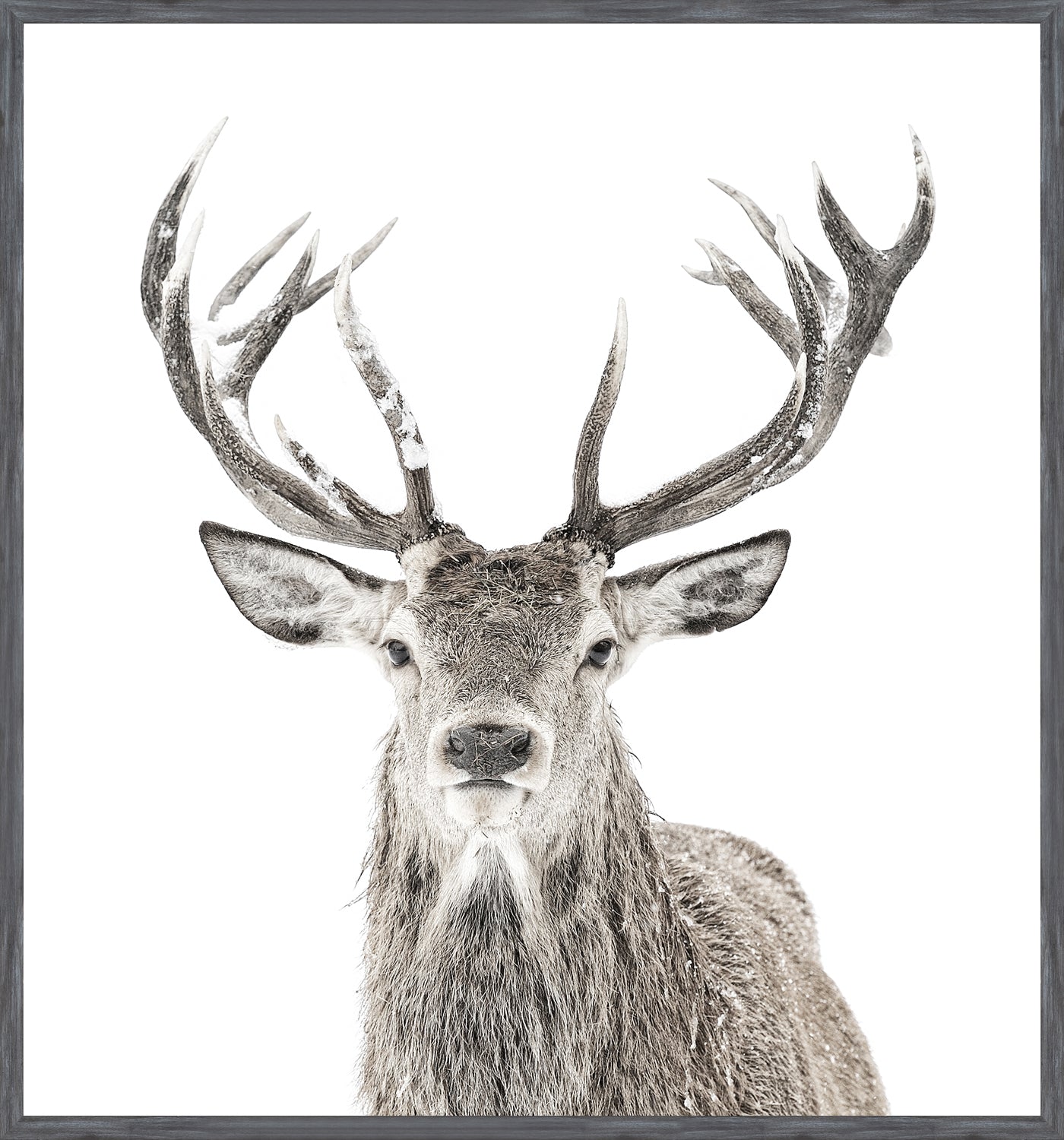 Stag & New Woodland Denizen Pair Bundle