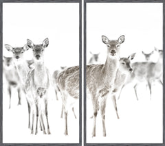 52 × 58.5 in – Grey Frame