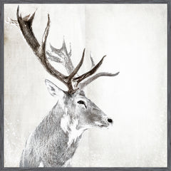 42 × 42 in – Grey Frame