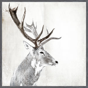 Stag Portrait — nature and landscape fine art print in neutral tones at Laurie Yapp Home