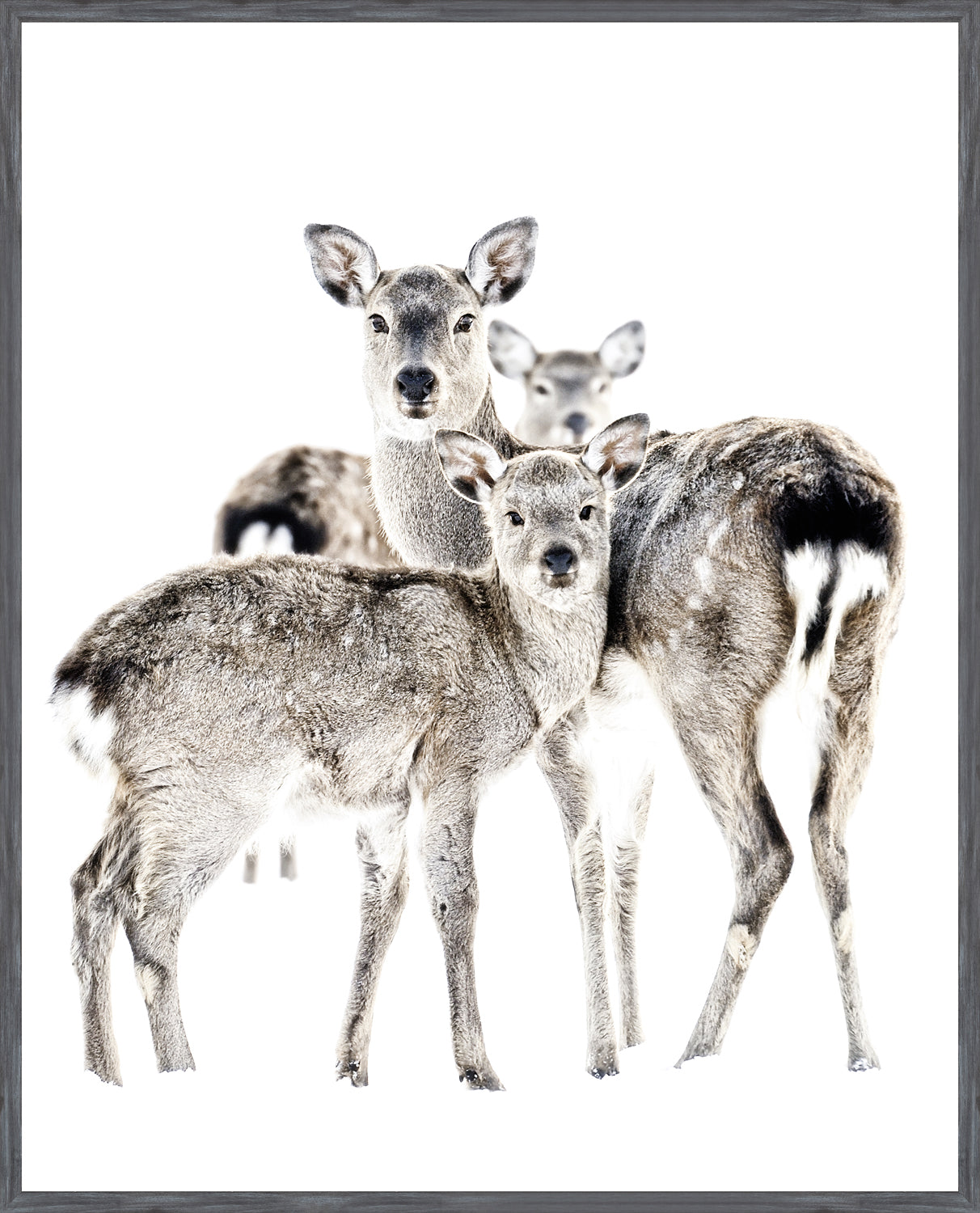Maternal Vigil wall art featuring three deer on a white background