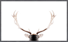 52 × 32 in – Grey Frame