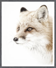 32 × 39 in – Grey Frame