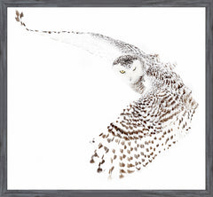 27 × 25 in – Marco gris