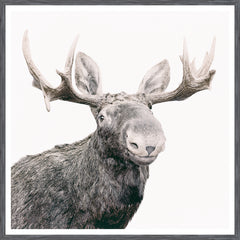 42 × 42 pulg – Marco gris