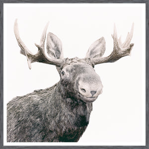Happy Moose — nature and landscape fine art print shown from another angle