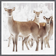 38 × 38 in – Grey Frame