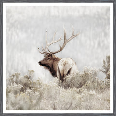 38 × 38 in – Grey Frame
