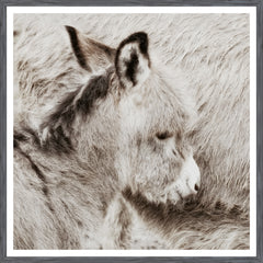 38 × 38 in – Grey Frame