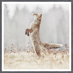 38 × 38 in – Grey Frame