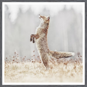 Snowy Owl & Fox on Alert Wildlife Pair Bundle