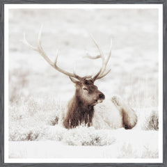 38 × 38 in – Grey Frame