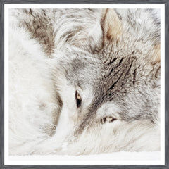 38 × 38 in – Marco gris