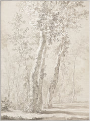 43 × 58 pulg. – Lienzo enmarcado
