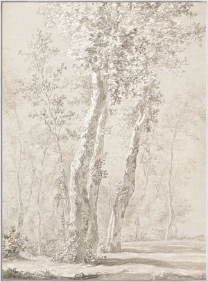 Sunlit Trees C. 1822 wall art featuring detailed tree illustrations in soft beige tones.