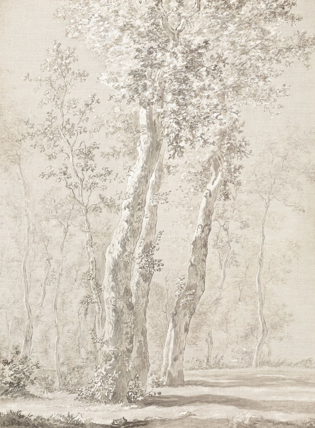 Sunlit Trees C. 1822 — nature and landscape fine art print in neutral tones at Laurie Yapp Home