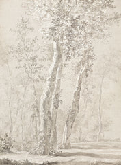 42 × 57 pulg. – Lienzo con bastidor