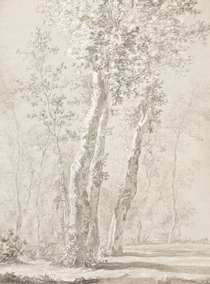 Sunlit Trees C. 1822 — nature and landscape fine art print in neutral tones at Laurie Yapp Home