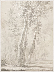 35.25 × 47.25 pulg. – Con marco de cristal