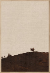 31.5 × 46.5 in