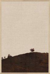 17 × 25 in