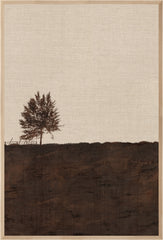 31.5 × 46.5 in