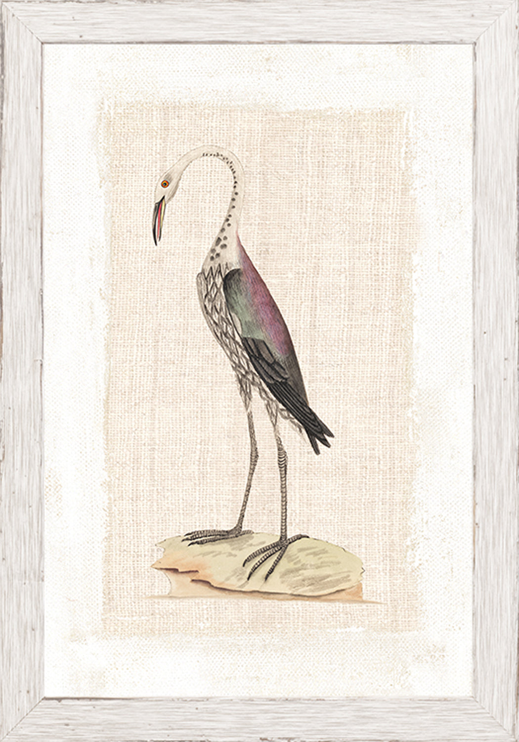 Watercolour Birds Dark Rail C 1790 framed art print