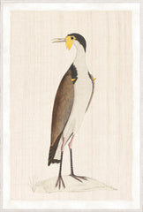 94.62 × 140.34 cm