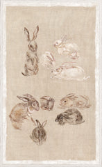 25.25 × 41.25 pulg.