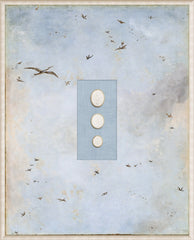 V – 16.75 × 20.75 in