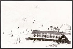 29 × 43 in