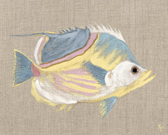 40 × 50 pulgadas – Lienzo tensado